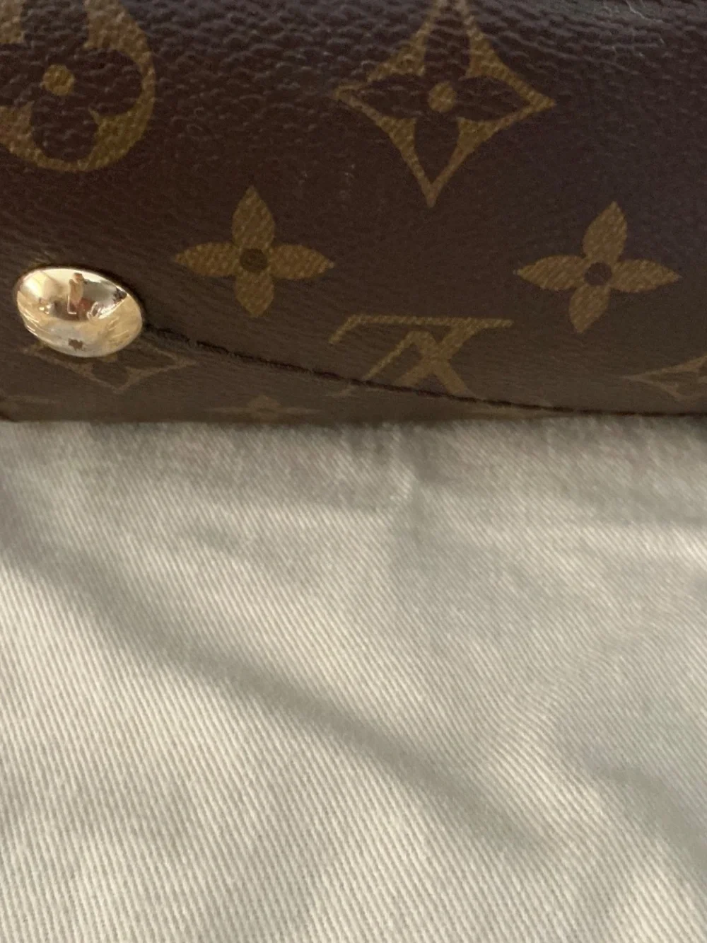 Rare Louis Vuitton Artsy M/M Python strap exotic